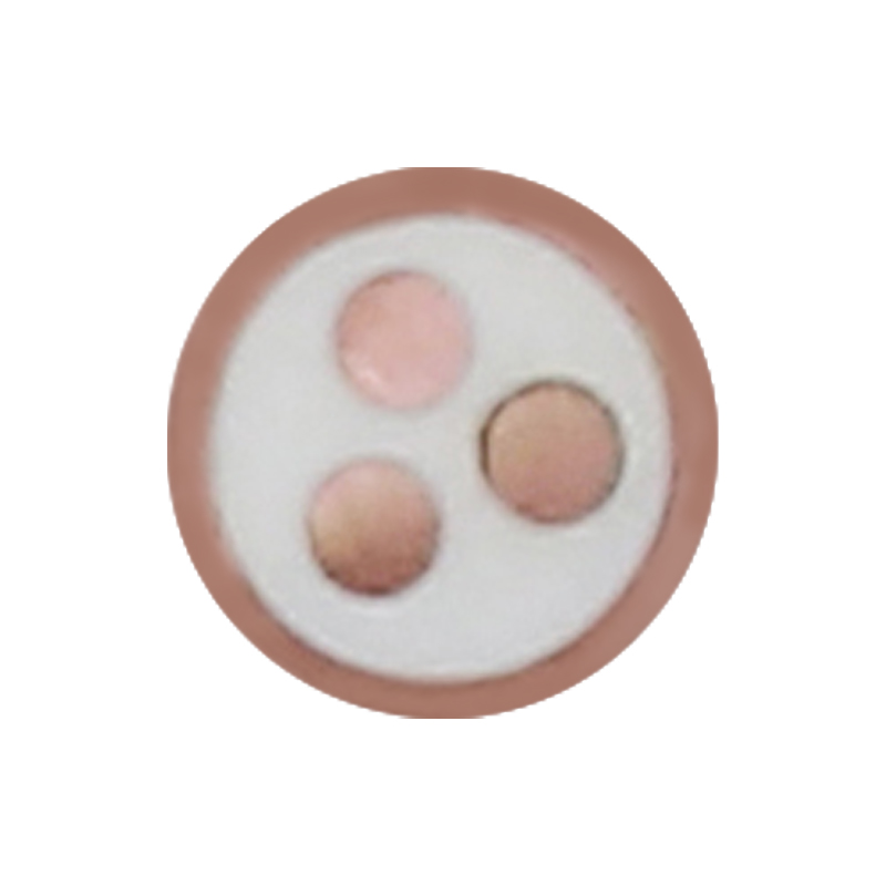 Cabo de carregamento EV para tensão nominal 450/750V